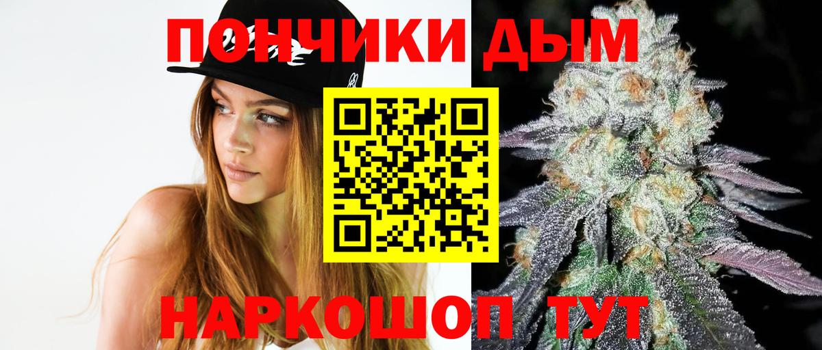 Конопля гибрид Шадринск